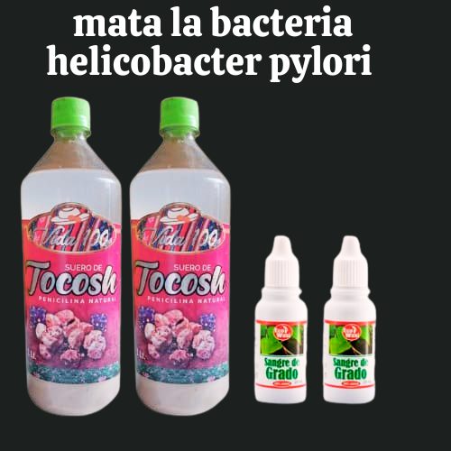 Pack Combate la Bacteria Helicobacter Pylori y la Gastritis